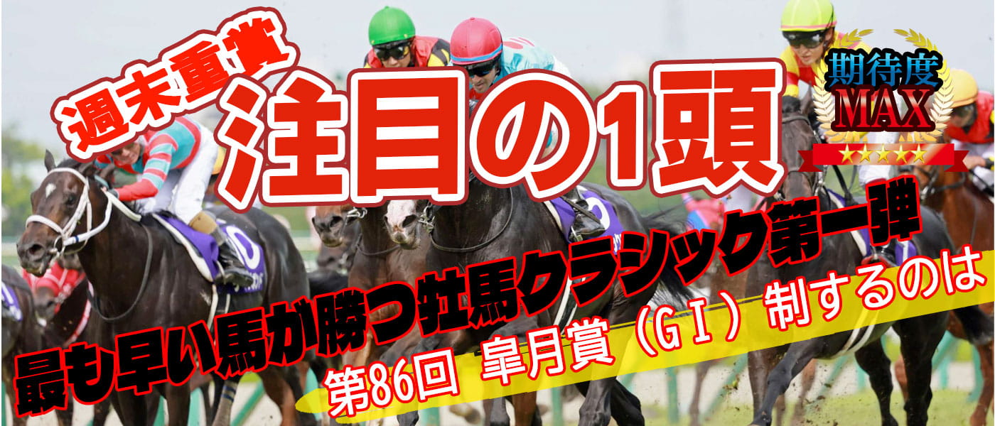 毎週水曜日更新